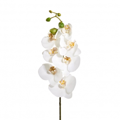 FLORISTA Větvička orchidej 70 cm - bílá-2