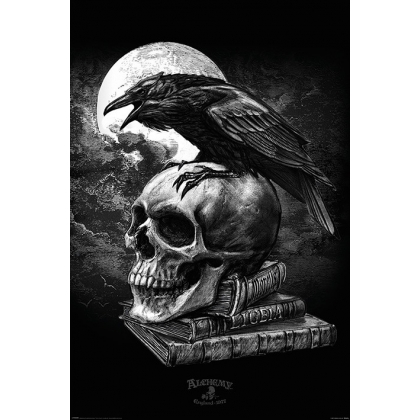 Posters Plakát, Obraz - Alchemy - Poe's Raven, (61 x 91,5 cm)