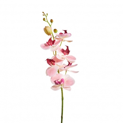 FLORISTA Větvička orchidej 70 cm - růžová-2