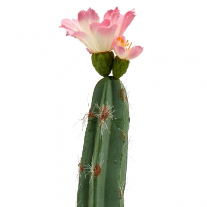 FLORISTA Kaktus - zelená/růžová-2