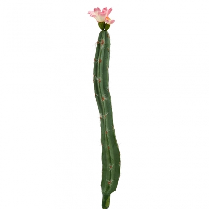 FLORISTA Kaktus - zelená/růžová-3