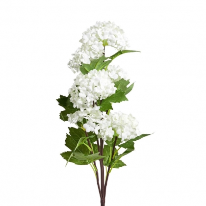 FLORISTA Větvička kalina 60 cm - bílá-2