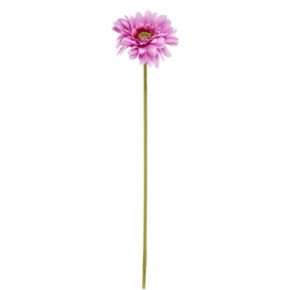 FLORISTA Gerbera - sv. fialová-2