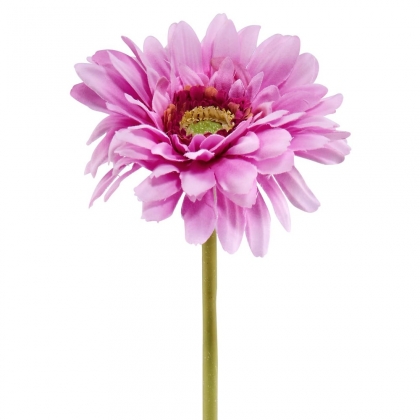 FLORISTA Gerbera - sv. fialová-3