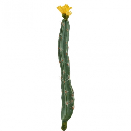 FLORISTA Kaktus - zeůená/žlutá-2