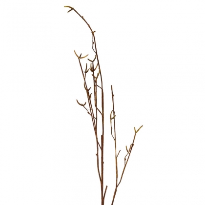 FLORISTA Větvička břízy 130 cm-2
