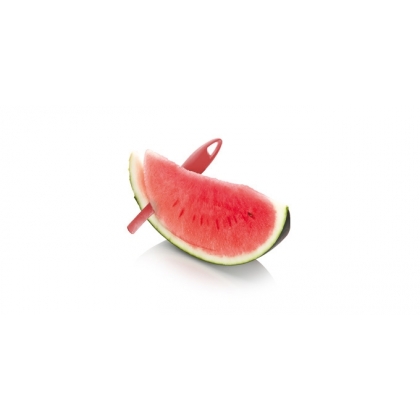 TESCOMA nůž na meloun PRESTO-2