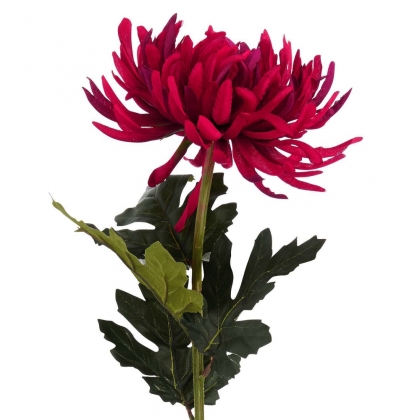 FLORISTA Chryzantéma - červená-2