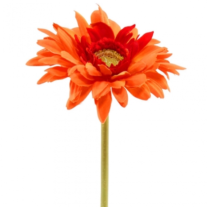 FLORISTA Gerbera - oranžová-3