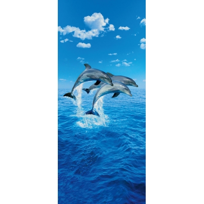 Posters Fototapeta THREE DOLPHINS - steve bloom