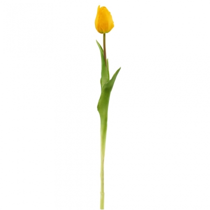 FLORISTA Tulipán - žlutá-2