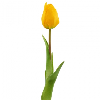 FLORISTA Tulipán - žlutá-3