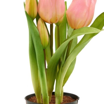 FLORISTA Tulipány v květináči - sv. růžová-3