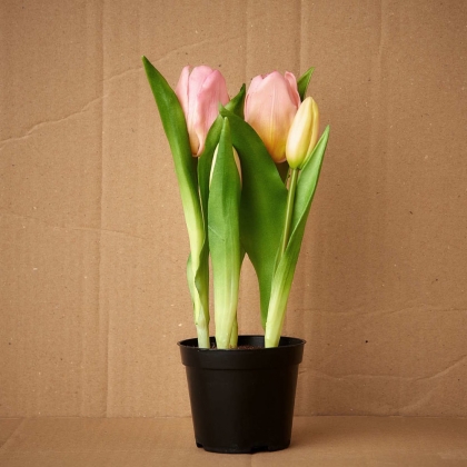 FLORISTA Tulipány v květináči - sv. růžová-4