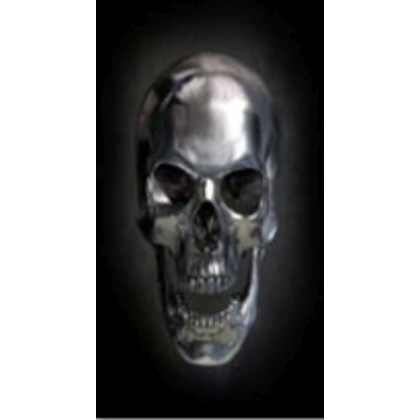 Obraz na skle Skull 120×80 cm