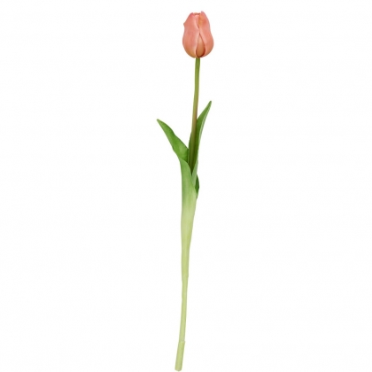 FLORISTA Tulipán 47 cm - broskvová