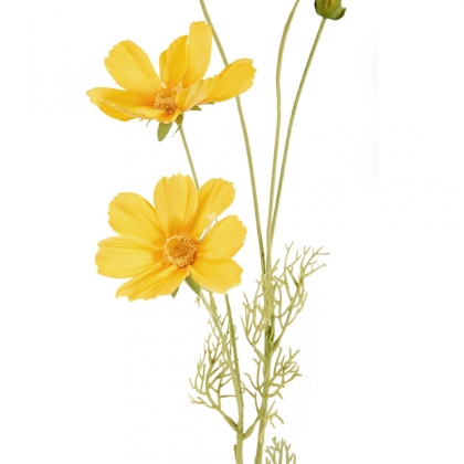 FLORISTA Krásenka 90 cm - žlutá-2