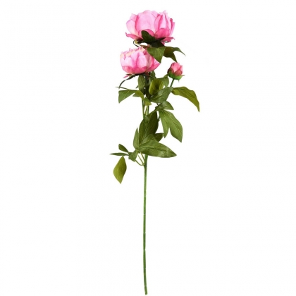 FLORISTA Pivoňka 70 cm - růžová-2