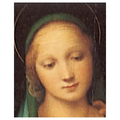 Posters Reprodukce Raffaello - Rafael Santi - Madona del Granduca, 1505 (část) , (35 x 50 cm)