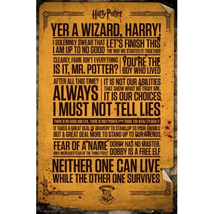Posters Plakát, Obraz - Harry Potter - Quotes, (61 x 91,5 cm)