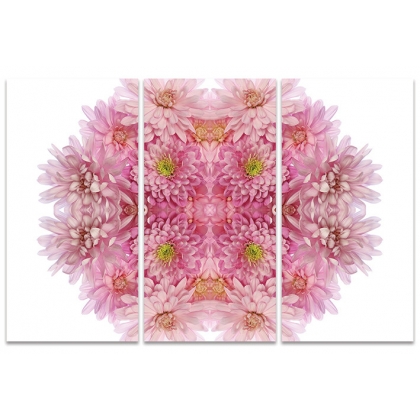 Posters Obraz na plátně Alyson Fennell - Pink Chrysanthemum Explosion, (100 x 150 cm)