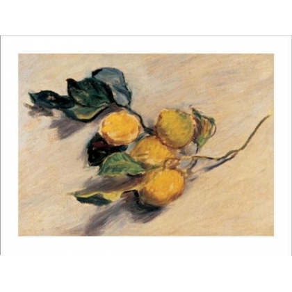 Posters Reprodukce Claude Monet - Větévka citroníku , (30 x 24 cm)