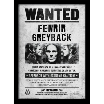 Posters Obraz na zeď - Harry Potter - Fenrir Wanted