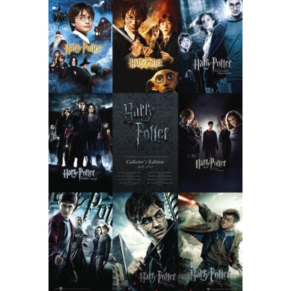 Posters Plakát, Obraz - HARRY POTTER - collection, (61 x 91,5 cm)