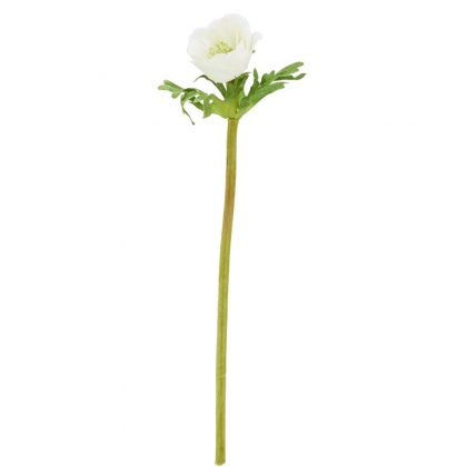 FLORISTA Sasanka, 36 cm - krémová