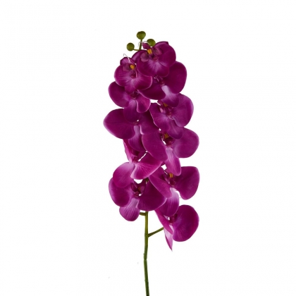 FLORISTA Orchidej - růžová-2