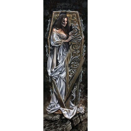 Posters Plakát, Obraz - Alchemy - dark awakening, (30 x 91 cm)