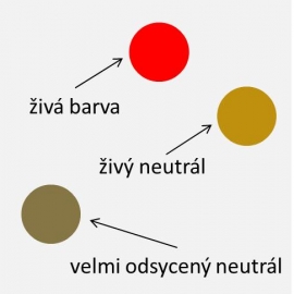 DŘEVO JAKO NOSITEL BARVY – druhý díl-2