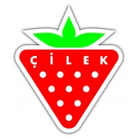 cilek logo.jpg